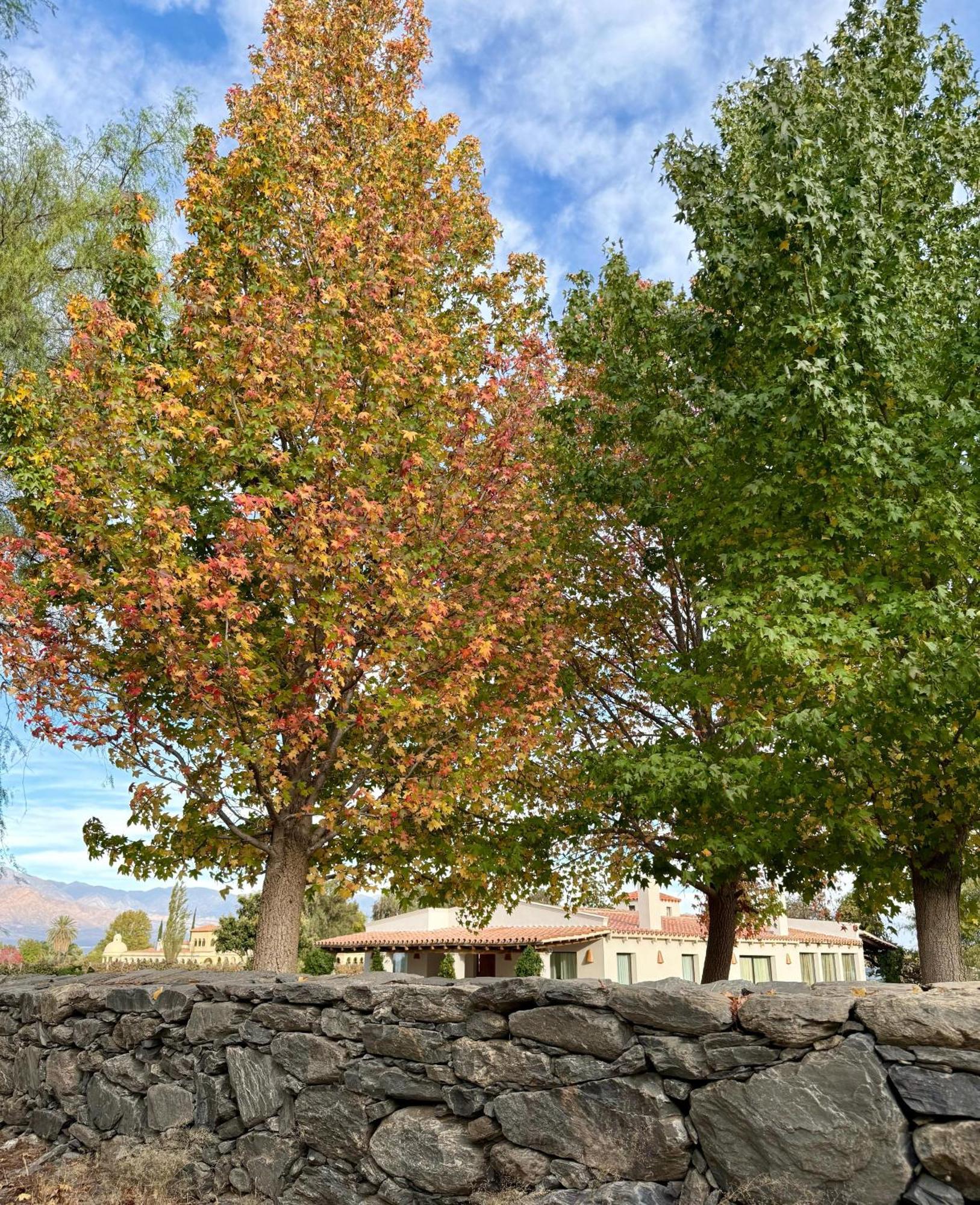 Finca El Recreo Cafayate Exterior photo